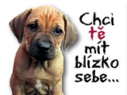 imagesCA4HXJZH